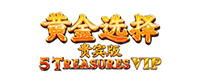 DFDC 5 Treasure VIP Logo