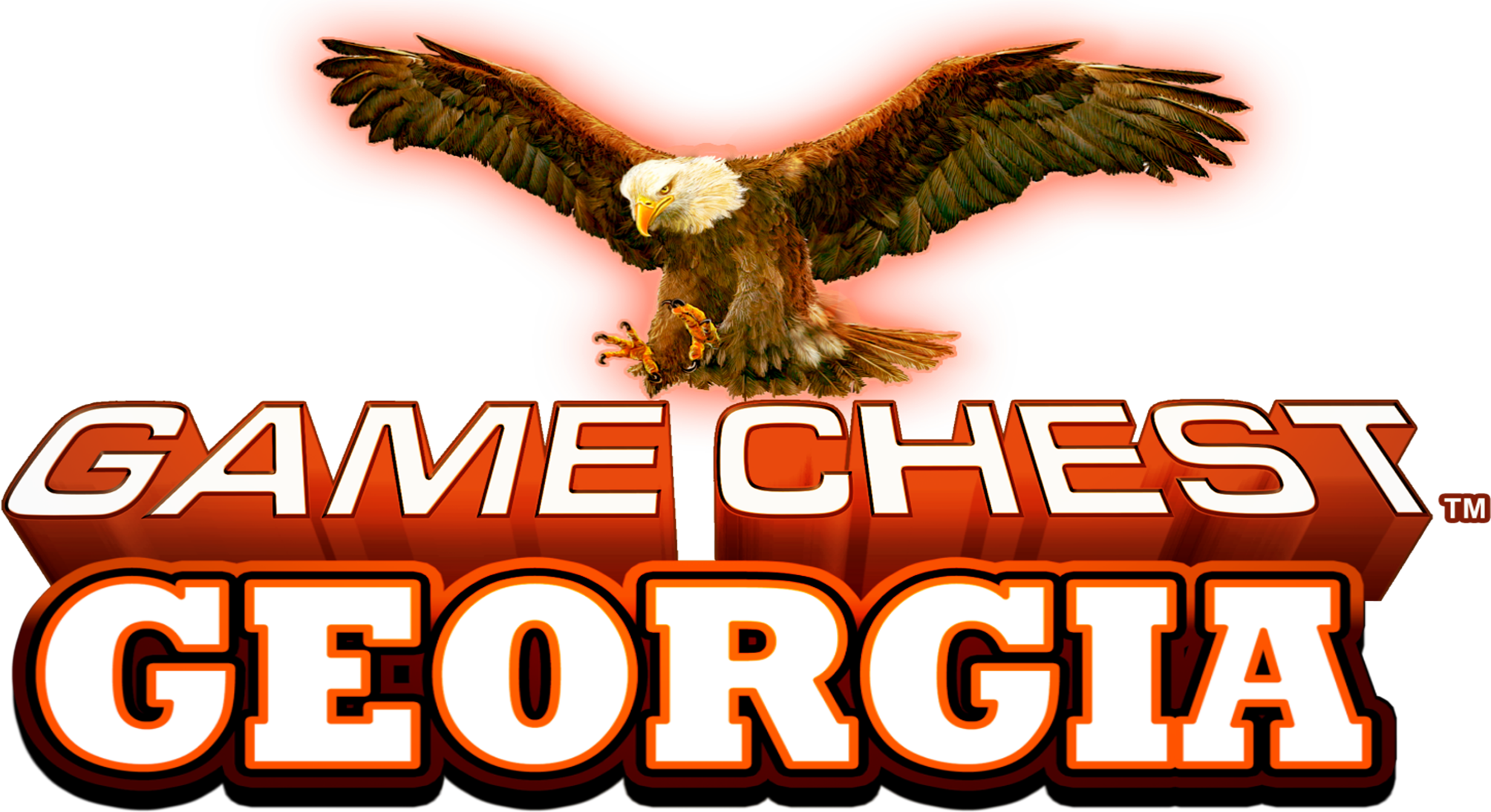 Georgia COAM - Cosmic Upright - Game Chest Set 1 Logo