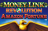 Money Link Revolution - Amazon Fortune Logo
